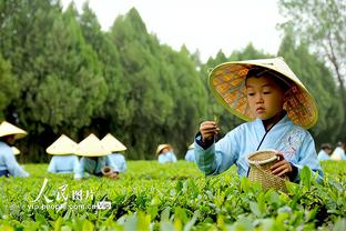 有攻没防！祖巴茨11中7拿下18分13篮板